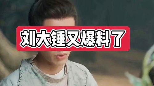 刘大锤周四爆料视频全集,揭秘事件真相与幕后黑幕